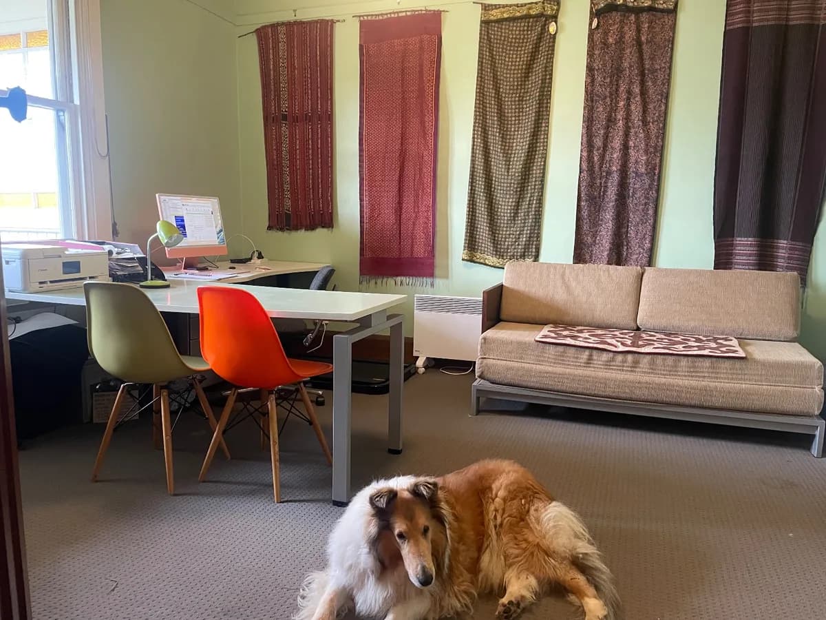 California Bungalow with Lassie dogs & aquarium - Photo 2