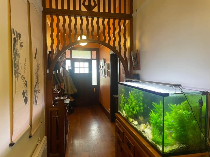 Fish