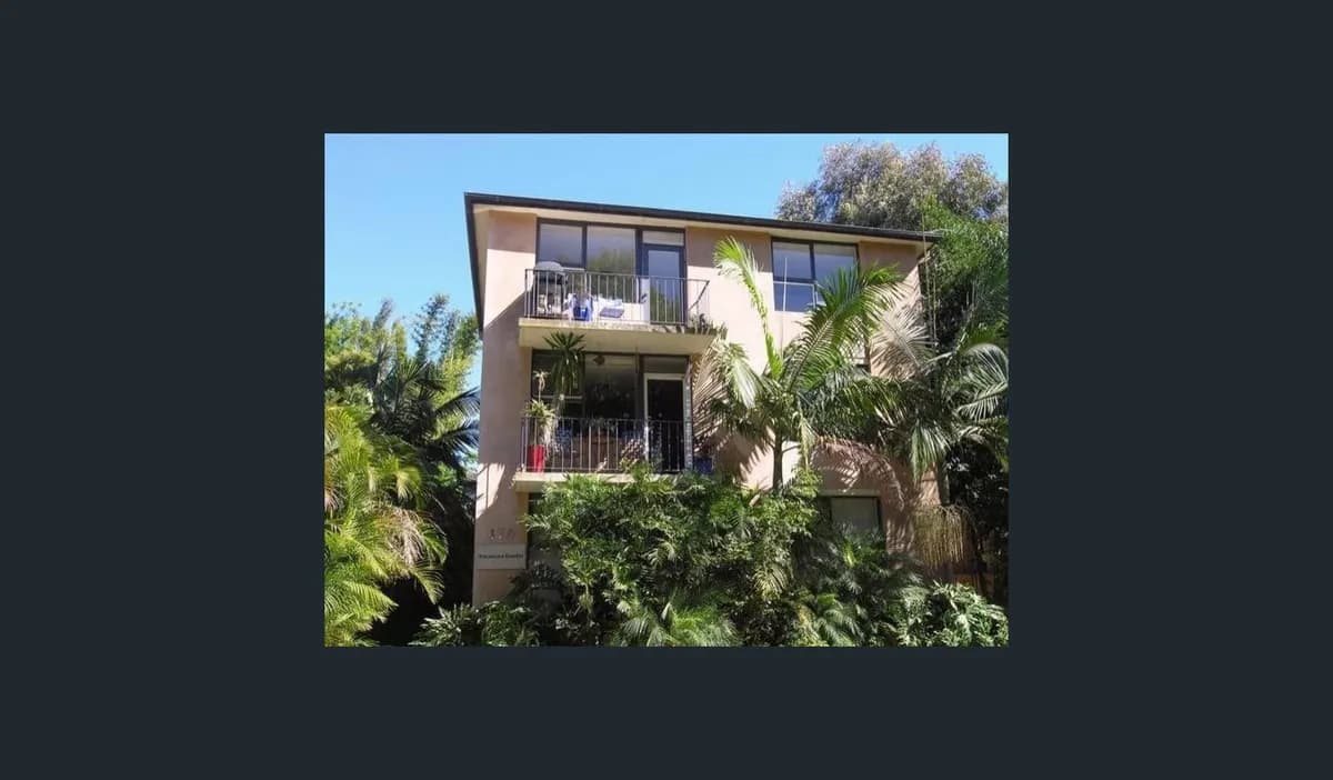 Leafy Annandale Apartment , Gentle Ragdoll Cat - Photo 1