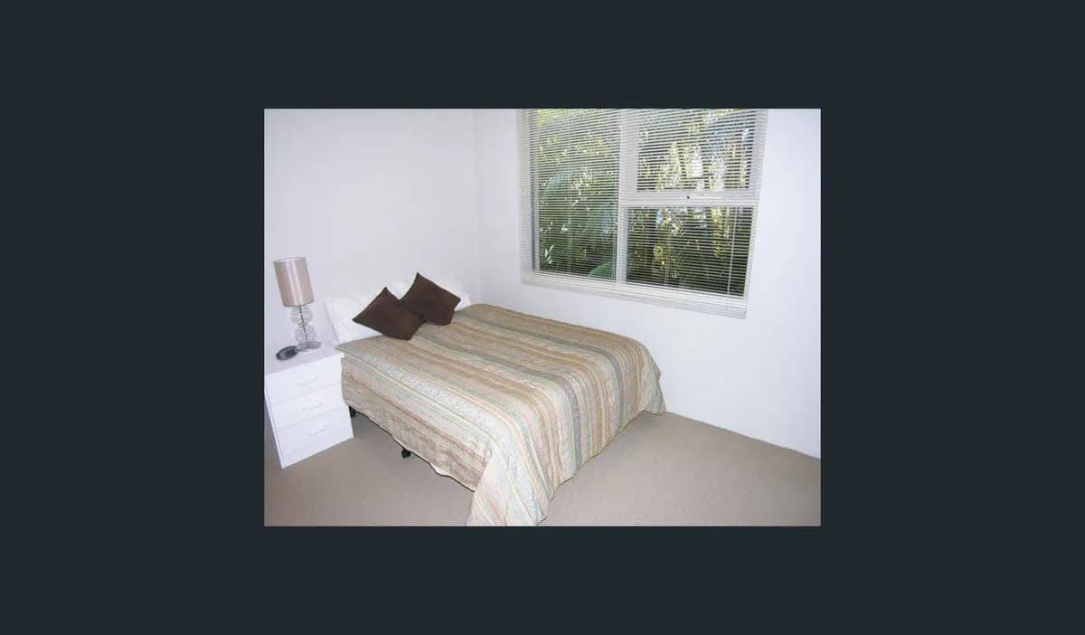 Leafy Annandale Apartment , Gentle Ragdoll Cat - Photo 4