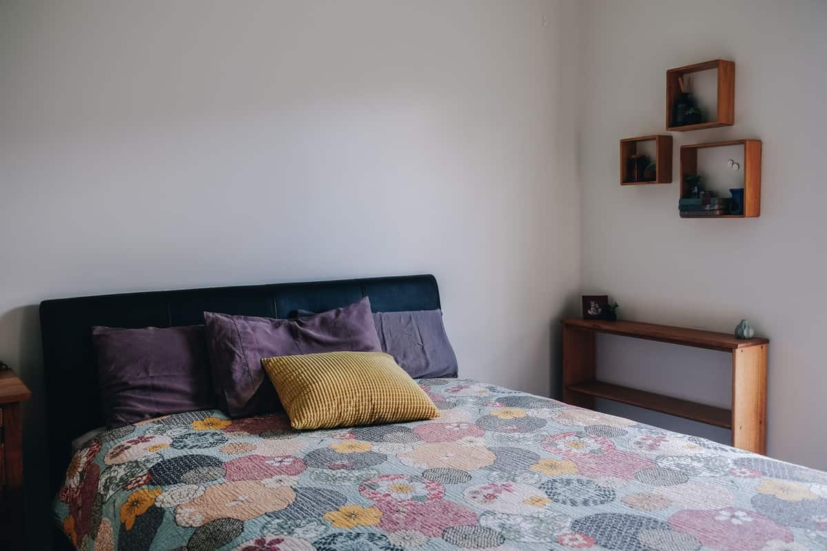 Bondi Junction Apartment Near the Interchange, One Quiet Cat - Photo 3