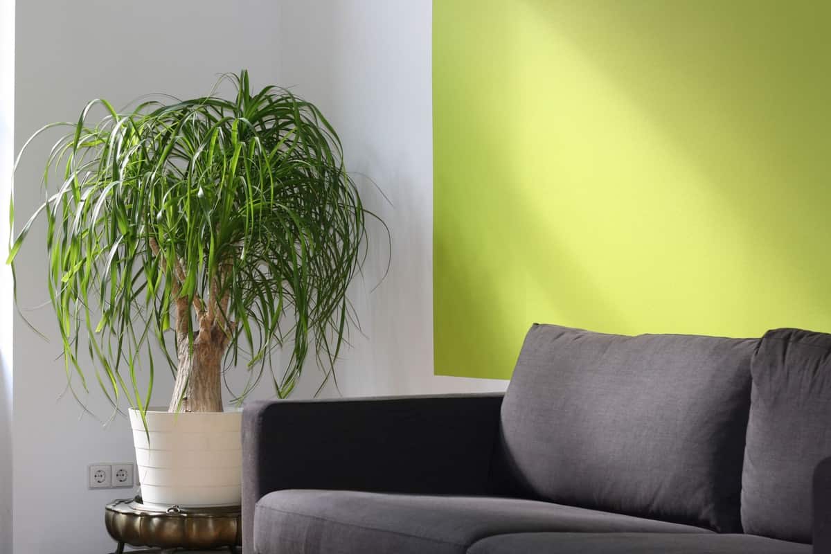 Quiet Glen Waverley Family Home With a Cat and a Fish Tank - Photo 2