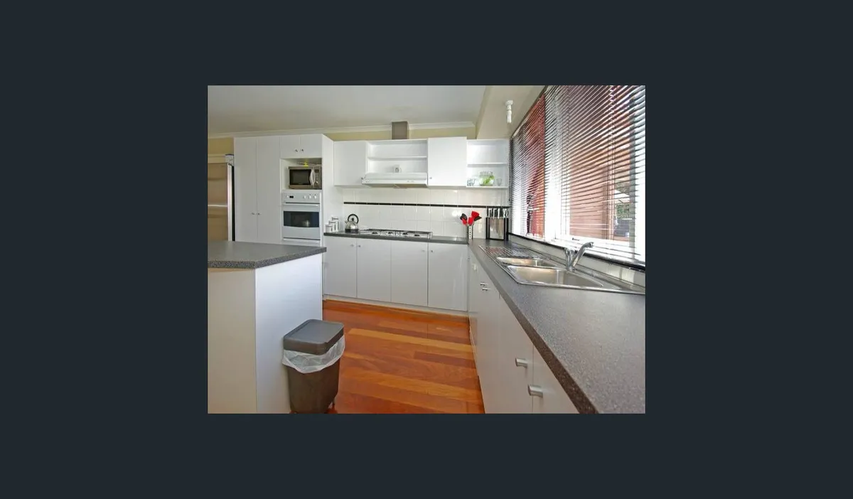 Modern Lynbrook Home , Gentle Cavalier King Charles Spaniel - Photo 4