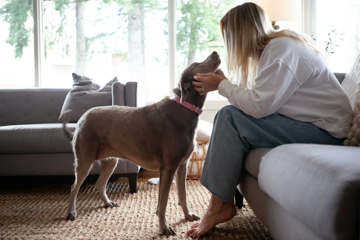 A woman gently holding her dog's face at home in a bright, sunlit living room